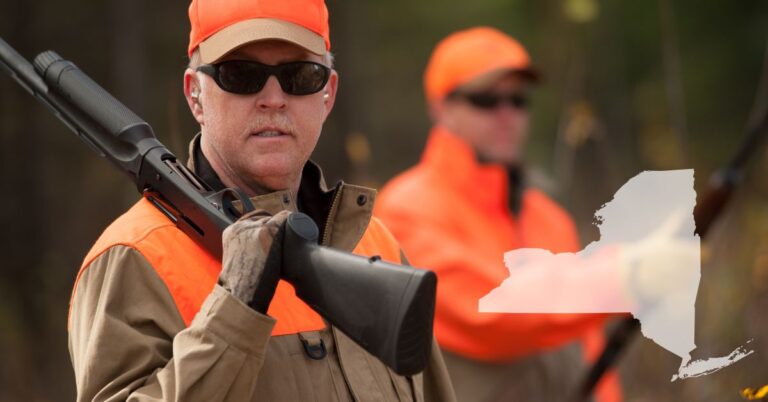 Two hunters wearing safety Orange vests and shotgun
