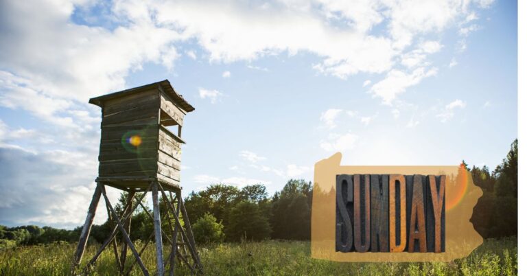 Hunting stand in field with PA outline logo and Sunday Text