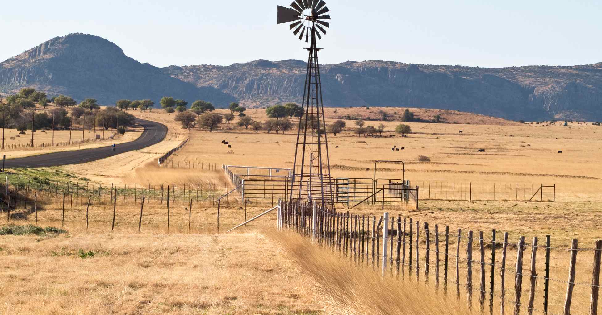 Texas landscape Texas landscape with open space and wind mill and mesa in background