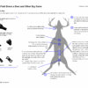 California Hunting Atlases (2025-2028) - Three-Season Bundle (Digital) - Image 13