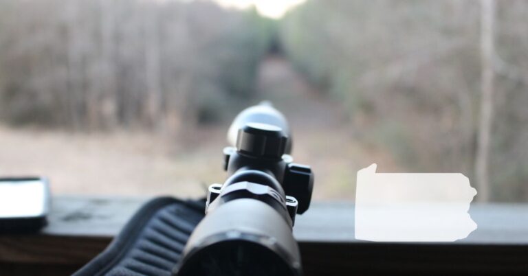 Hunting with rifle view from a tree stand