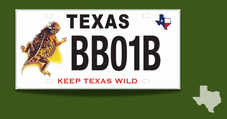 TX Horned Lizard Conservation Plate