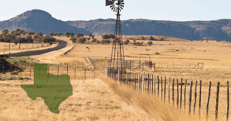 Texas rural landscape with windmill