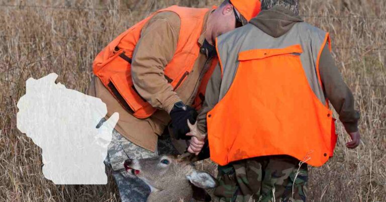 Two hunters field dressing a deer