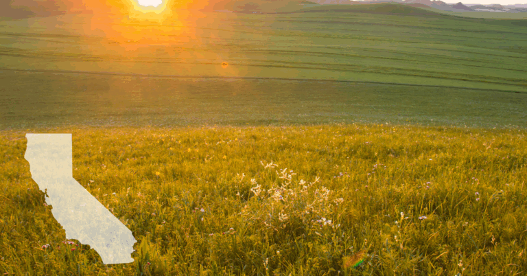 SCENIC IMAGE OF GRASSLANDS