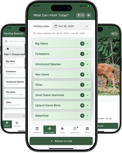 Image is not available