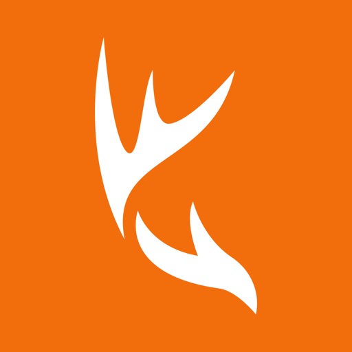 HuntWise app icon